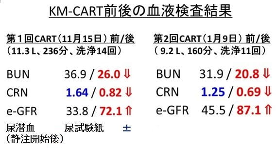 KM-CART前後の血液検査結果